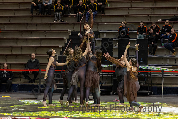 Sacrad Heart University Winter Guard_250323_Liberty High School-JB00513