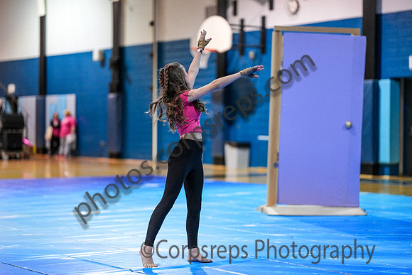 High Voltage_250201_North Penn-01279