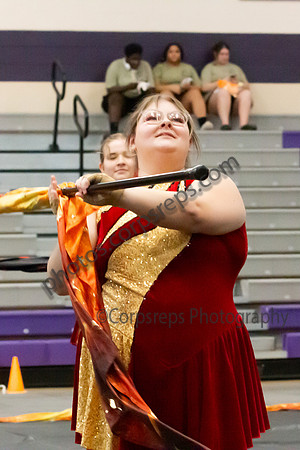 Arcadia Guard_250405__TS00004