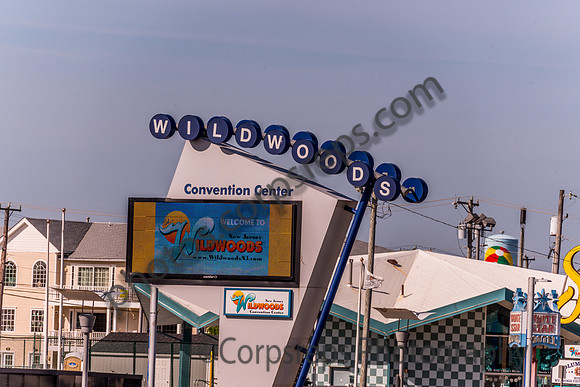 _250430_Wildwood-00002