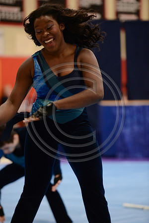 Haddon Heights High Voltage Guard-728