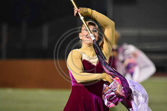 Nazareth Area High School  Blue Eagle-1242