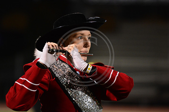 Saucon Valley High School Panthers Marching Band-223