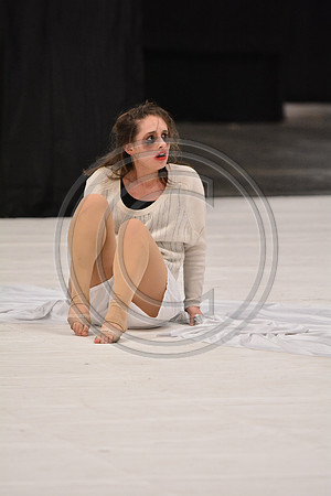 Co-Motion A Dance-5398