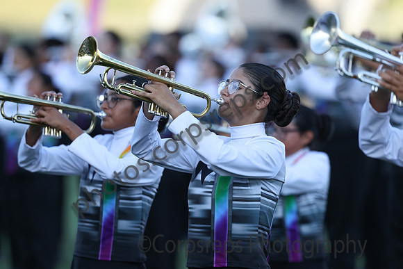 Oak Ridge_241109_ Katy-cb00040