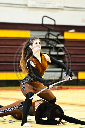 Triton Regional Guard-1010
