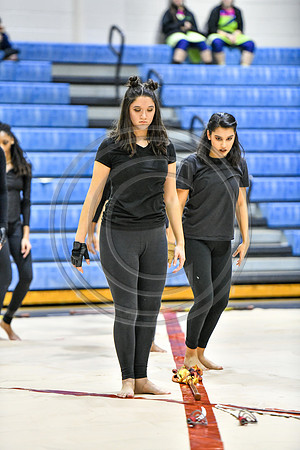 Abington Guard_190126_Spring-Ford-1054