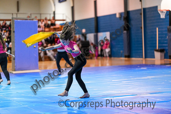 High Voltage_250201_North Penn-01289