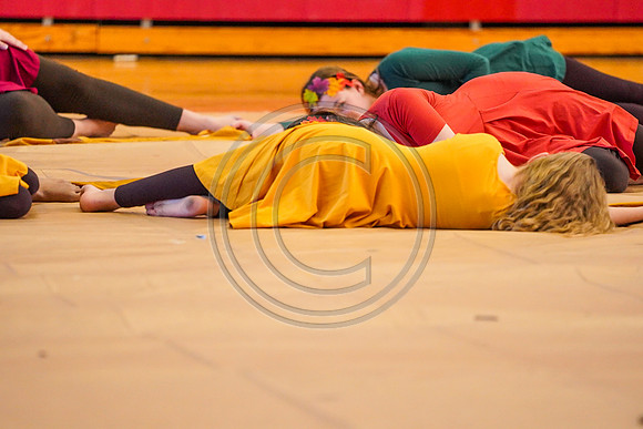 Springton Lake MS Guard_190209_Penncrest-7303733