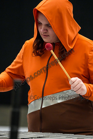Darkhorse Percussion_250501_Wildwood-mg00200