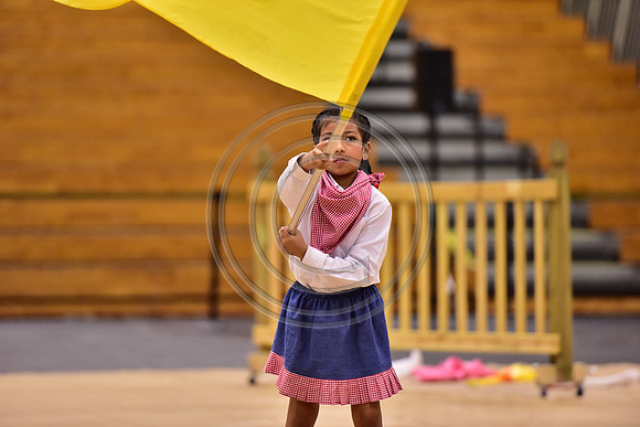 Pegasus Too JR Guard-164