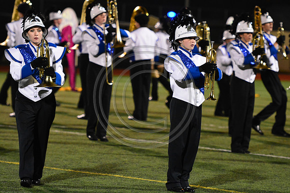 Nazareth Area High School  Blue Eagle-1244
