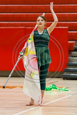 Our_Lady_of_Good_Counsel_Guard_230204_Hillsborough-JB00043