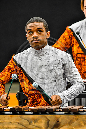 Darkhorse Percussion_170504_Wildwood-4613