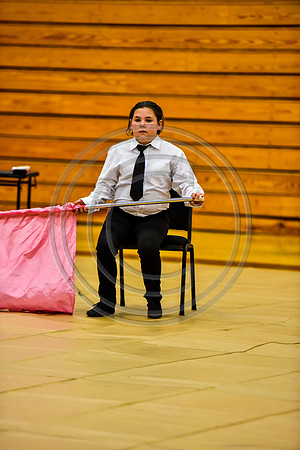 Pegasus Too JR Guard-021