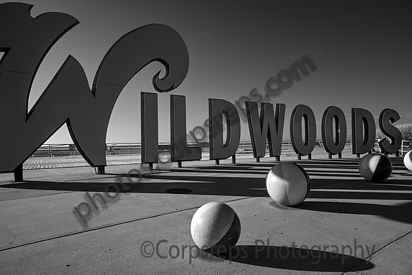 _240502_Wildwood-XX00018