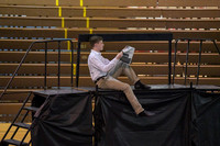 Phoenixville Percussion_250315_North Penn-DJK01437