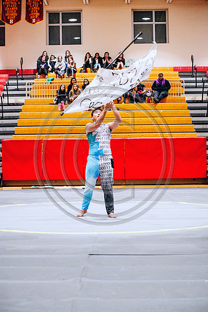 N-8 Winterguard_190202_Hillsborough-2-45