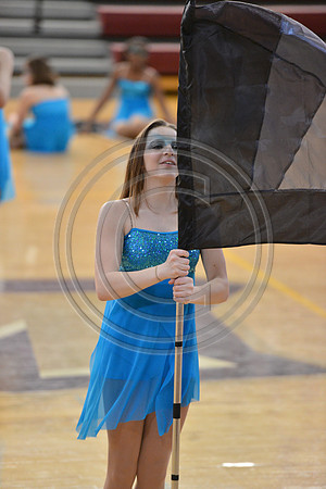 Whitehall Guard-558