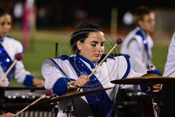 Nazareth Area High School  Blue Eagle-1230