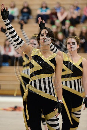 Bloomfield Guard-526
