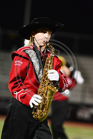 Saucon Valley High School Panthers Marching Band-245