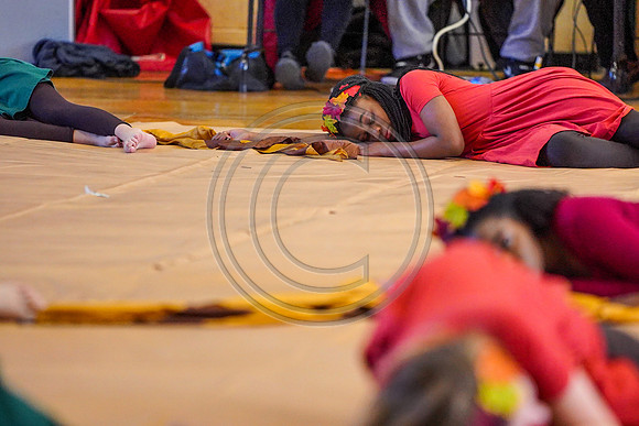Springton Lake MS Guard_190209_Penncrest-7303729